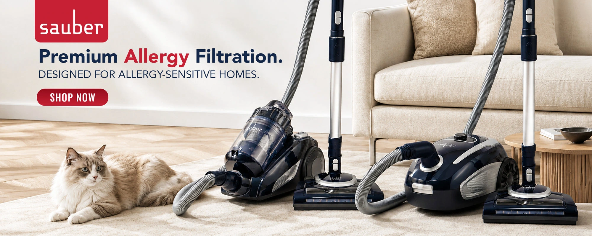 Master Your Home's Cleanliness